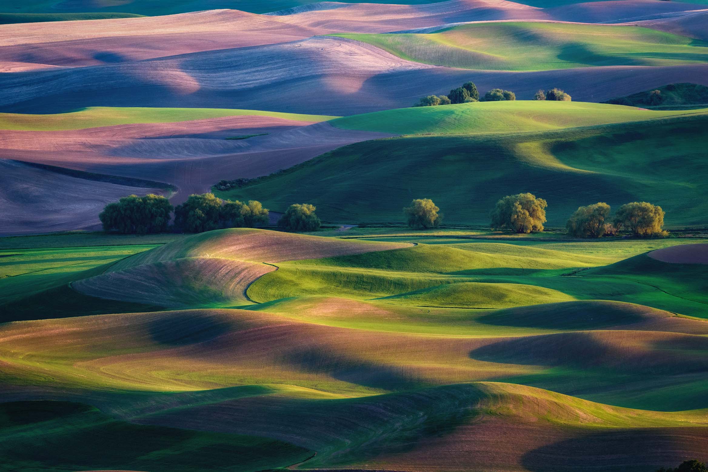 04x06_fields-of-palouse_landscape.jpg