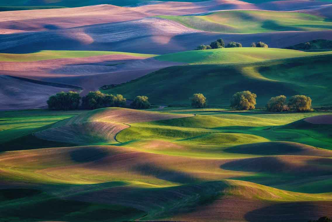 04x06_fields-of-palouse_landscape_thumbnail.jpg