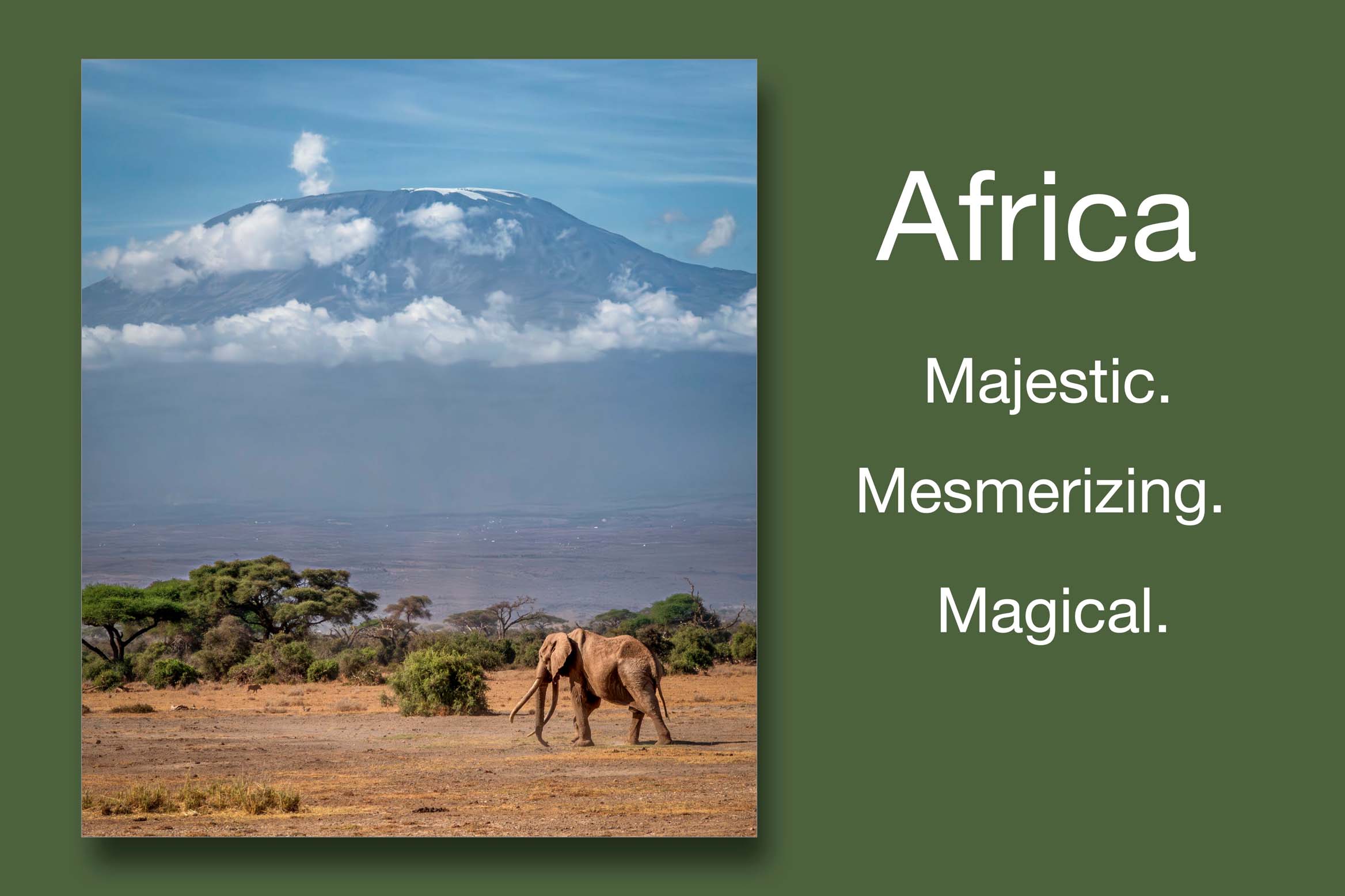 ebook_africa_landscape.jpg